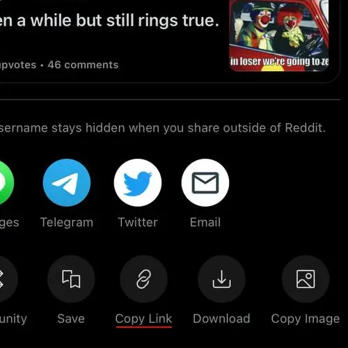 reddit copy post url